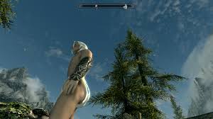 Diaper mod for sam - The Elder Scrolls V: Skyrim - VectorPlexus