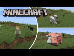A mod that adds a single thing: Video How To Install Morph Mod