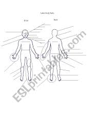 Walk ins by appointment only Body Parts Diagram With Word Search Esl Worksheet By Slkchina