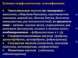 Есть и другие названия этого состояния, например, синдром сального хвоста, усеянный хвост, хвост племенных котов, кобелей. Hejlity I Novoobrazovaniya Hejlity Hejlity