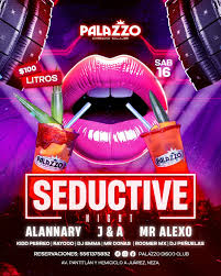 Palazzo Disco Club