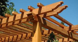 Thuja occidentalis, also known as northern white cedar, eastern white cedar, or arborvitae, is an evergreen coniferous tree, in the cypress family cupressaceae, which is native to eastern canada and much of the northcentral and northeastern united states. Issaquah Cedar Lumber Co Home Facebook