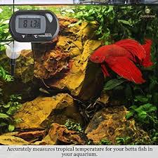 Aquarium Lcd Digital Thermometer Easy To Install Fish Tank Water Temperature Digital Thermometer Reptile Tank Fish Tank