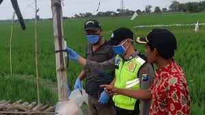 Untuk nomor kode kontaktor dapat dilihat dari bentuknya. Seorang Warga Baureno Bojonegoro Meninggal Akibat Tersengat Listrik Jebakan Tikus Di Sawah Beritabojonegoro Com