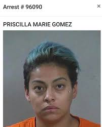 $1000 Reward for information leading to the arrest of Priscilla Marie  Gomez. She is wanted for felony drug possession and Failure to Appear
