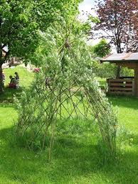 Weiden Tipi Baumhaus Am Boden Garten Weiden Pflanzen Naturspielplatze