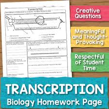 Learn everything an expat should know about managing finances in germany, including bank accounts, paying taxes, getting insurance and investing. Transcription Biology Homework Worksheet By Science With Mrs Lau
