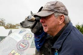 Australian motorcycle icon Bundy takes her last ride