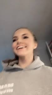 Spaniel Labrador Mix