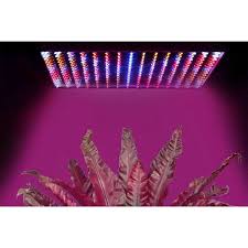 Led grow light panel lamp full spectrum hydroponic plant growing uv ir light 45w. Gpct Energy Efficient Full Spectrum Uv Plant Grow Light 225 Led 10w Walmart Com Walmart Com