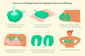 Cabbage Leaves: Why They Come in Handy for Breast Pain, Engorgement, and  Weaning