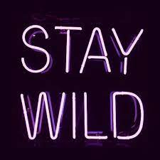 Wild Led Sign Stay Wild Neon Signs Neon