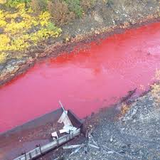 Something resembling a river a river of lava. Why Is This Russian River Blood Red The Verge