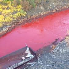 Перевод слова river, американское и британское произношение, транскрипция, словосочетания, однокоренные слова, примеры использования. Why Is This Russian River Blood Red The Verge
