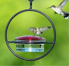 The copper model hummingbird feeder is one of the most luxurious design. 18 Hummingbird Feeders And Accessories Birds And Blooms