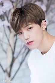 Seventeen age order dino s coups . êµ¬ë¦„ ìœ„ ë¹› Dino Seventeen Seventeen Seventeen Kpop