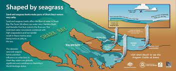 Geology Shark Bay