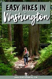 11 Incredible Beginner Friendly Hikes In Washington In 2021 Washington Hikes Washington State Travel Pacific Northwest Travel