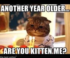 Funny Birthday Wishes Happy Birthday Meme For Him Top 100 Funniest Happy Birthday Memes Most Popular Happy Birthday Cat Funny Happy Birthday Meme Cat Birthday Memes