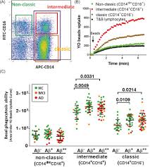 The fda had already kicked the can down the road on it once. Aducanumab An Overview Sciencedirect Topics