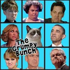 Grumpy cat memes clean funny. Top 25 Grumpy Cat Memes Cattime