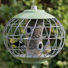 Caged Bird Feeders For Small Birds Spiral Bird Feeder Bird Feeders Caged Bird Feeders Squirrel Proof Bird Feeders