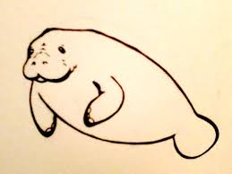 Tattoo stencils can be used in a couple of different ways. Manatee Tattoo Design By Hannahsheep On Deviantart