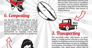 The Lifecycle Of A Coffee Bean Coffee Beans Coffee Facts Seattle Coffee
