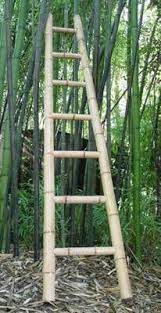 It's sturdy and will look great as a blanket rack for a baby's nursery which is what i'm using it for. 62 Bamboo Ideas Bamboo Bamboo Crafts Bamboo Garden
