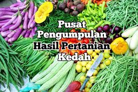 We did not find results for: Pusat Pengumpulan Hasil Pertanian Photos Facebook