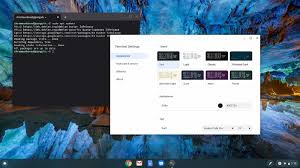 Say Hello To The Linux Terminal 2 0 For Chrome Os In 2020 Linux Say Hello History Lessons