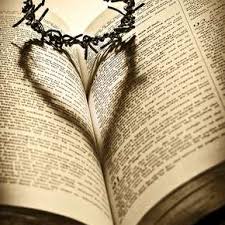 Les réponses sont les mêmes que ce soit sur la version ios (iphone, ipad) ou sur android. 4 Images 1 Mot Niveau 434 4images1motsolution Net