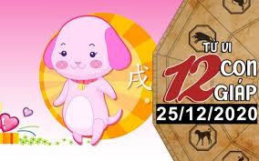 Tử vi 12 con giáp năm 2021 cần dựa vào những yếu tố nào: Tá»­ Vi Hom Nay Xem Tá»­ Vi Vui 12 Con Giap Ngay 25 12 Tuá»•i Tuáº¥t