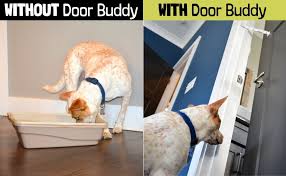 Cats do not like the sound of a dog barking. Amazon Com Door Buddy Adjustable Door Strap And Latch Grey Dog Proof Litter Box The Easy Way No Need For Pet Gates Or Interior Cat Door Use This To Keep Dog