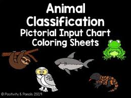 Animal Classification Pictorial Input Chart Coloring Pages