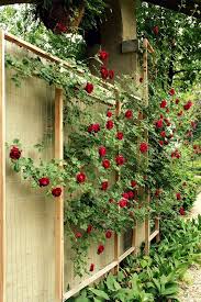 Maybe you would like to learn more about one of these? How To Make A Rose Trellis Cheap And More Attractive Than A Lot Of The Ones In Stores Diy Garden Trellis Trellis Plants Rose Trellis