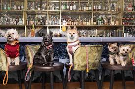 See 202 unbiased reviews of savage sadly was raining so could not use the rooftop but the food and atmosphere made up for this lovely i think if i had gone to this bar in normal times it would have been fantastic. Savage Garden Rooftop Dog Brunch The Dogvine