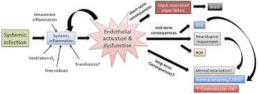 Image result for Neonatal Sepsis