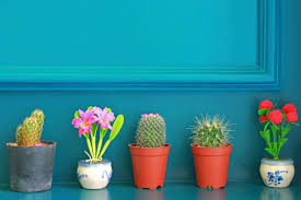 Maybe you would like to learn more about one of these? Ideas Para Decorar Con Plantas De Interior Vix