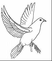 Check spelling or type a new query. Free Printable Dove Novocom Top