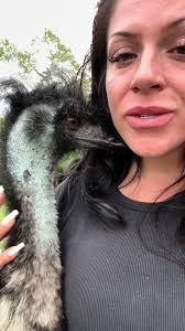 Stanley's Cozy Blanket Sales Announcement