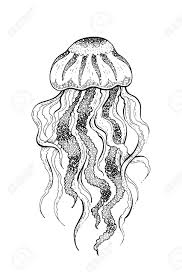 We did not find results for: Jellyfish Underwater Jelly Fish Icon Coral Reef Animal Sketch Royalty Free Cliparts Vectors And Stock Illustration Image 132932083