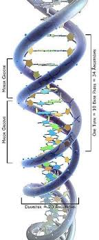 World Changing Events Stories 20th Century Top 10 List Of Bioquimica Biologia Celular Biologia
