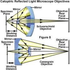 Lateral Inversion — Lesson. Science Cbse, Class 7.