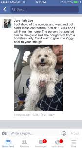 Maybe you would like to learn more about one of these? Ziggy The Stolen Puppy Returned To Girl After Stranger Spots Him On Craigslist The Washington Post