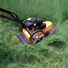 Download manuals & user guides for 1 devices offered by cub cadet in edger devices category. Cub Cadet 600 Watt Walk Behind String Trimmer 80 Mm 22 Inch Id 21496353312