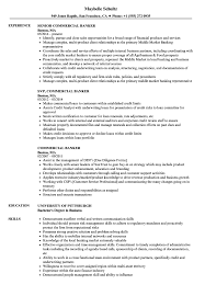 This can be done easily by downloading the latest resume format for freshers from the internet and following the set pattern. Commercial Banker Resume Samples Velvet Jobs