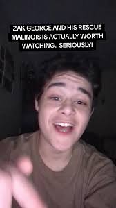 Watch Zak George Train His Rescue Malinois Effectively