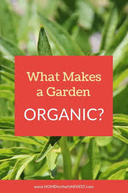 We help you define and implement your garden goals gardens for school: What Is Organic Gardening And Why Is It Important Home For The Harvest
