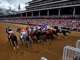 thoroughbred horse racing entries and results